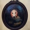 boodogtrading